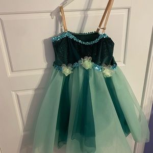 Child’s dance tu-tu dress with sequins and roses.